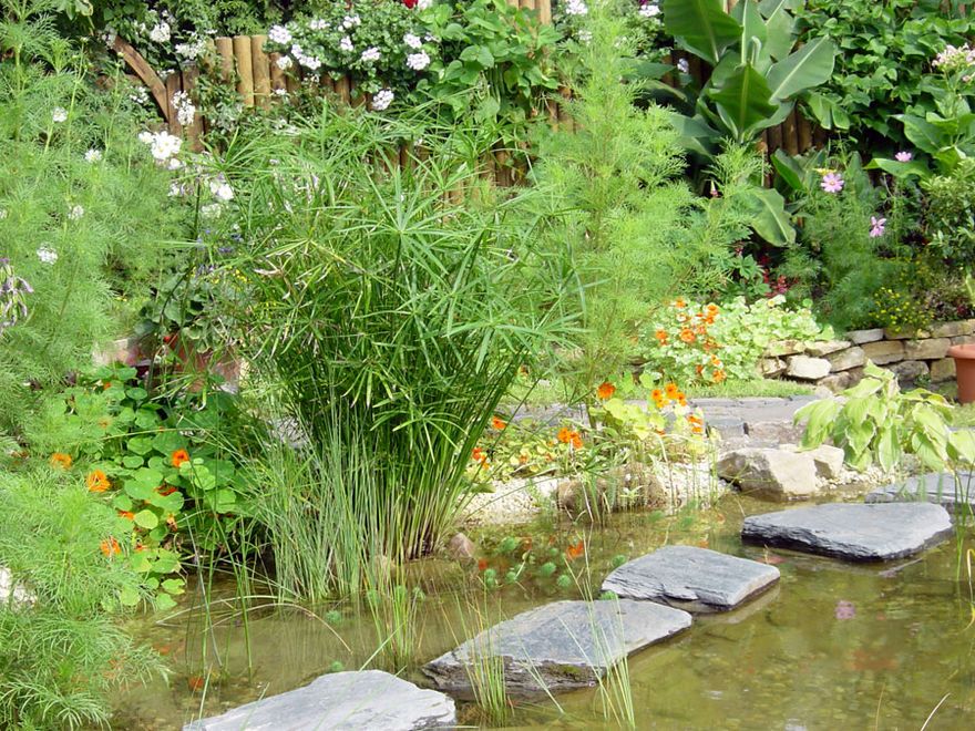 Gartenbau Görtzen - Wasser im Garten