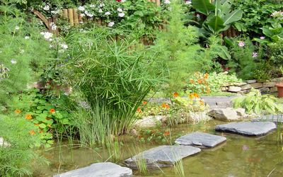 Gartenbau Görtzen - Wasser im Garten