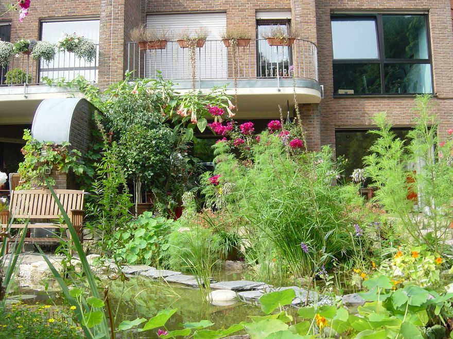 Gartenbau Görtzen- Grüner Garten mit Teich, Bank und Blüten